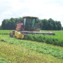 Hay_mowing