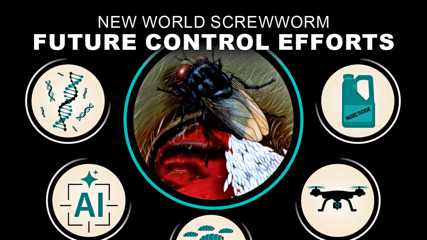 The Next Generation of Screwworm Control - Bovine Vet