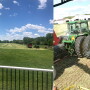 Bohnert chopping rye