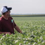 You have the opportunity to attend Pro Farmer Crop Tour nightly meetings in person or watch the nightly broadcast online this year. 