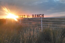 Vest Ranch