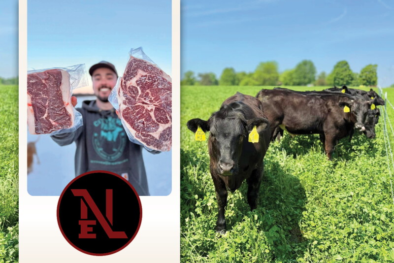 Carne de res NEL Custom - Lechería Norm-E-Lane