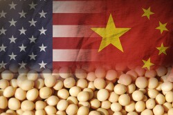 U.S. soybean sales to China