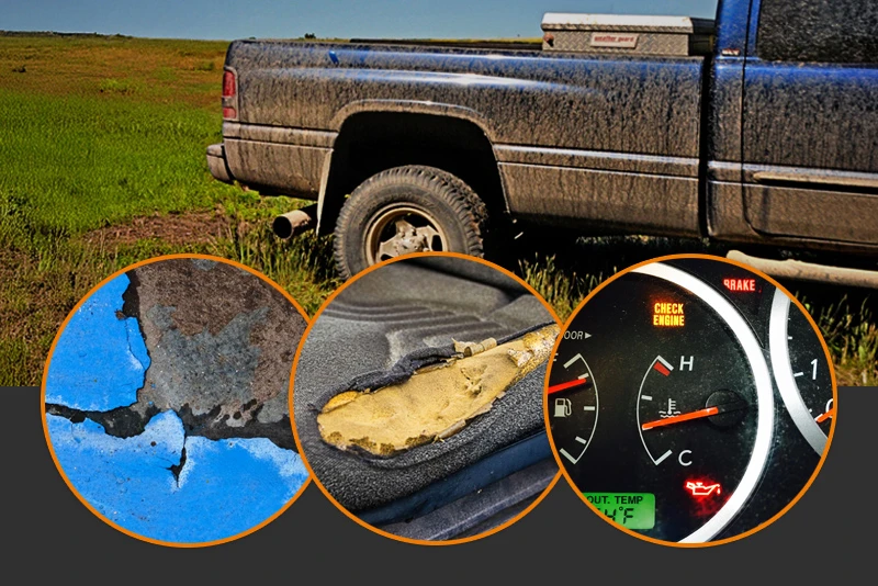 The-20-Embarrassing-Problems-that-Make-Your-Farm-Truck-Unique---Evergreen.jpg