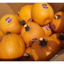 Pumpkin-2.jpg