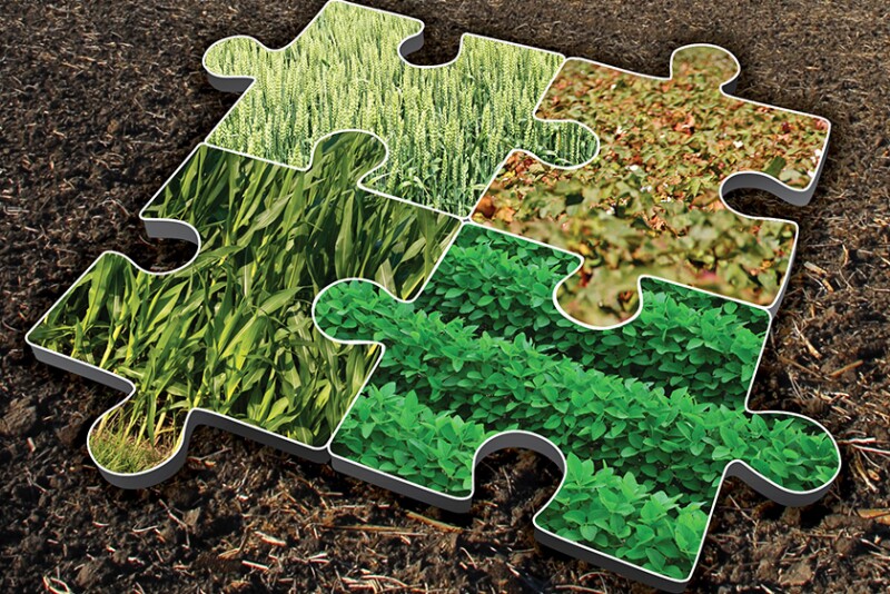 acreage puzzle