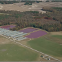 Vox Video on NC Pig Farming