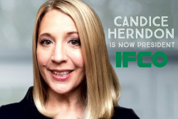 HERNDON_Candice_IFCO_web.png