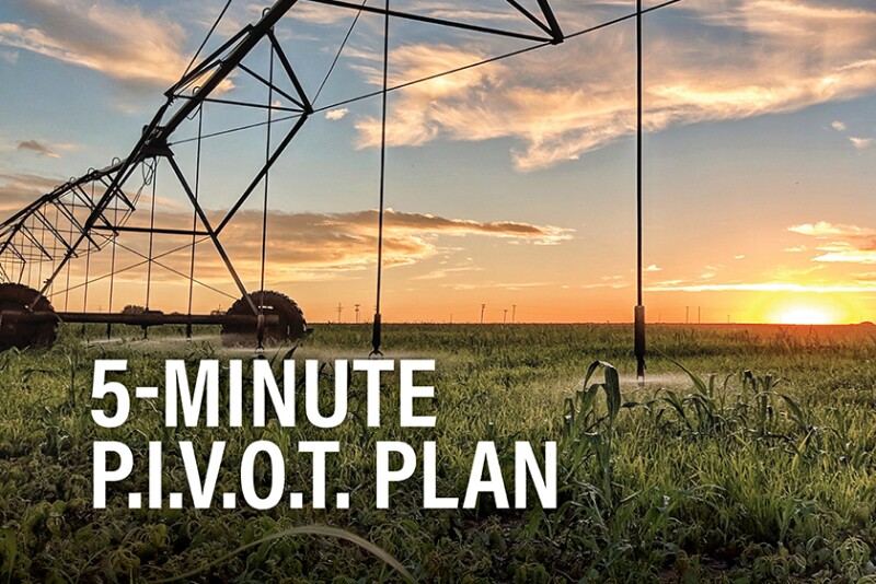 PIVOT Plan