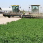 Farming is one of the world’s most dangerous occupations, and dairy farms have unique equipment, feed, and animal hazards that can put human operators at risk. Cargill, Inc. is partnering with the National Dairy FARM Program to encourage, on-farm safety audits and written safety plans.