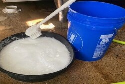 biosecurity measures1.jpg