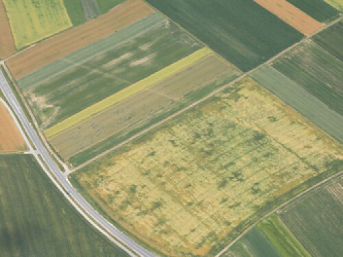 Farmland aerial