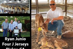 Four J Jerseys