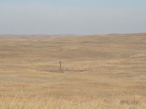 Drought - Photo by Ryan Benjamin
