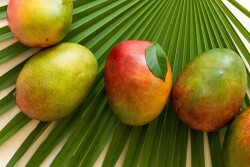 Mangoes