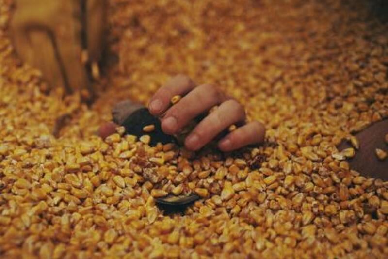 Buried_Alive