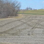 “Everybody looks at the money that could potentially pay out on a per acre basis. But, how much do you already have into that piece of ground? The assumption is you’ll make money with prevent plant. But nobody makes money with prevent plant.” 