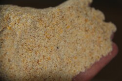 Researchers are evaluating how different feed-grade antibiotics or feed ingredients interact with the microbiome of the pig.