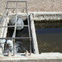 In discussions of cattle health and nutrition, we sometimes overlook the most important nutrient of all: water. 