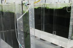 ZIVO Bioscience, Inc.  investigates the health and nutritional benefits of bioactive compounds derived from its proprietary algal cultures.