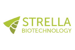 strella