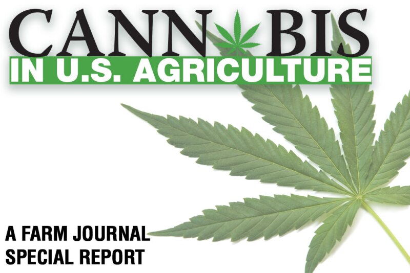 “It’s still unclear whether or not growing hemp falls under the Bank Secrecy Act,” says Curt Covington, executive vice president and chief credit officer at Farmer Mac.