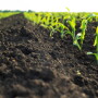 iStock-1327938763 - 840x600.jpg