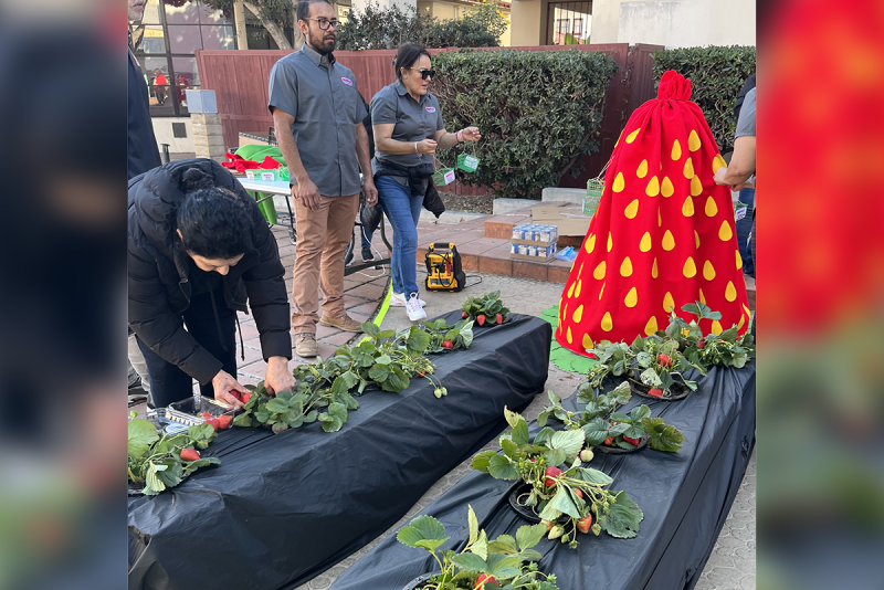 Bobalu Berry Farms participating in 2023 Can-tree event