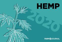 Hemp raises hopes in 2020. 