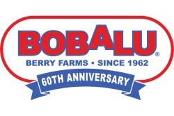 bobalu-logo-(002).jpg