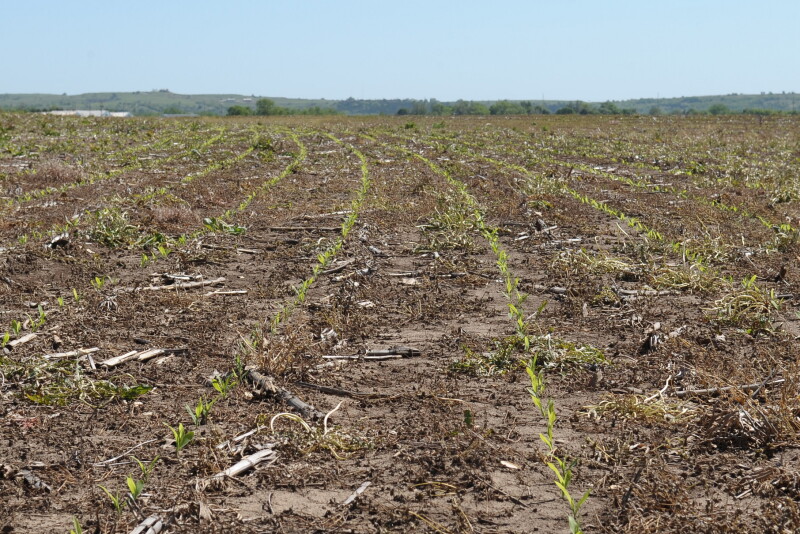 For 2019, the national average for cash rents on cropland is $140 per acre, which is up $2 from 2018’s national average of $138. 