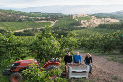 Orchard View