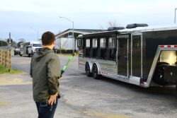 Trailer line at a pig show