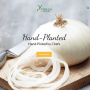 The Vidalia Onion Committee has redesigned its website with the help of public relations agent Porter Novelli.