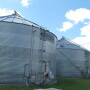 Manage grain in bins to avoid spoilage, quality deductions.