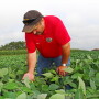 If successful pest control constitutes a run scored, then the four bases you have to touch are time, equipment, people and products. 