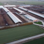 California dairy