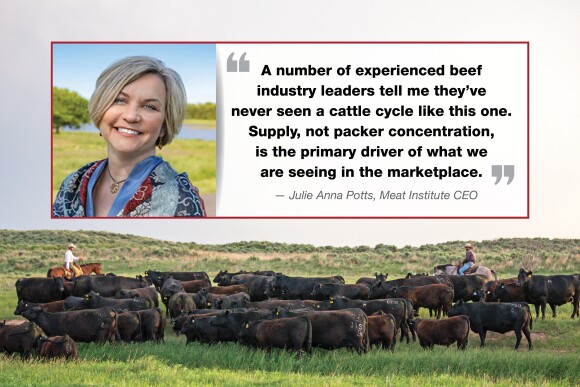 Julie Anna Potts Meat Institute CEO.jpg