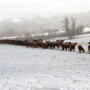 Padlock_Ranch
