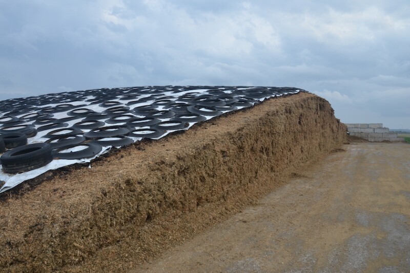 Heins Family Farms 03.JPG