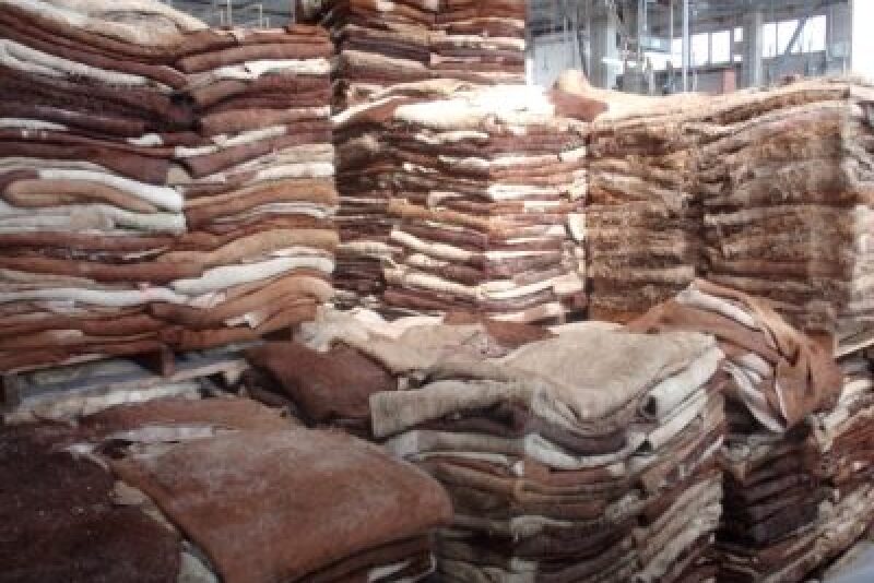 Global demand for cattle hides is declining.