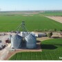 Steinert Farms