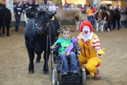 Iowa Governor's Charity Steer Show raised $284,000 last year.