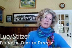 Lucy Stitzer