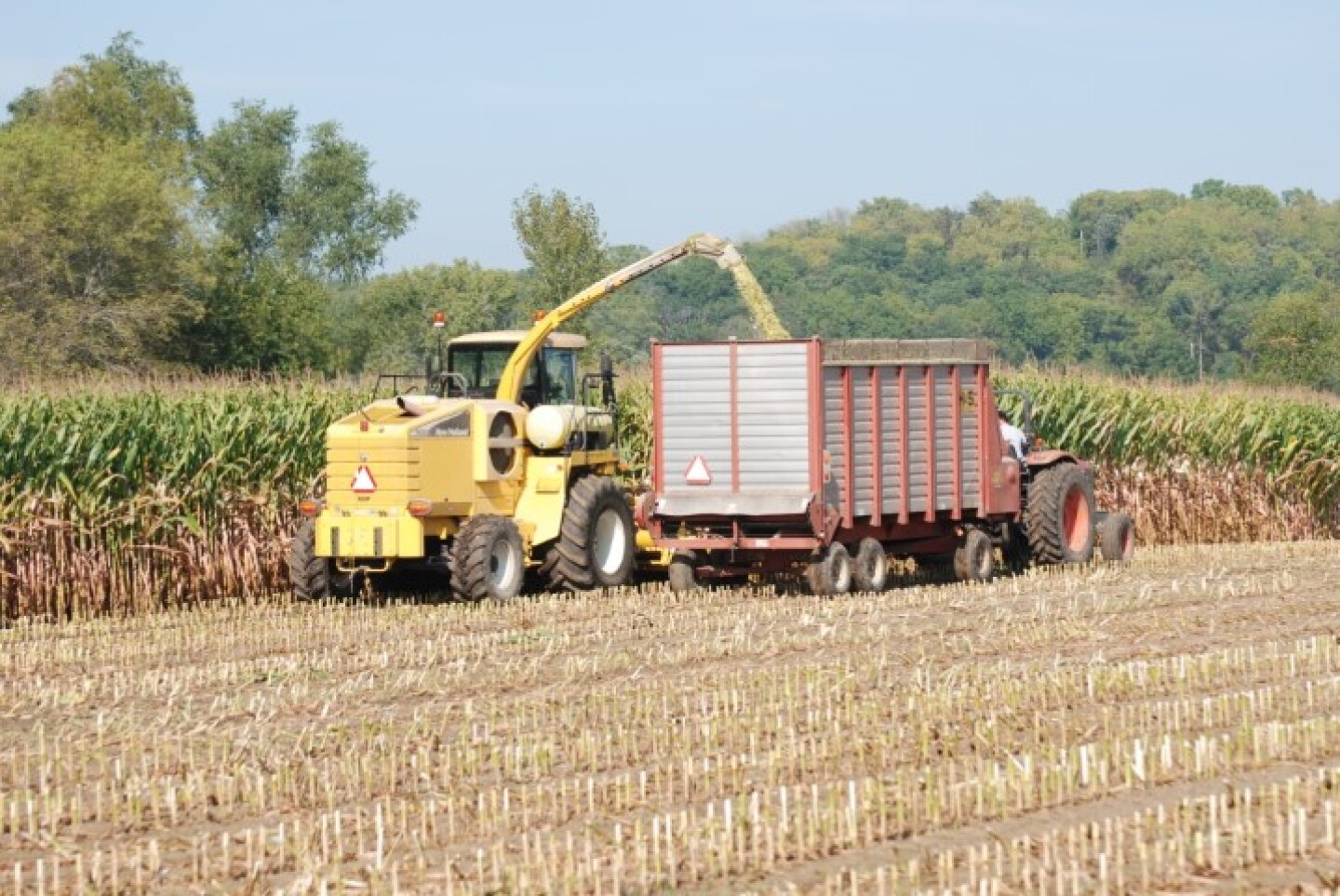 Silage_Harvest