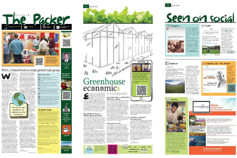 Here are a few examples of the new look and feel of The Packer.