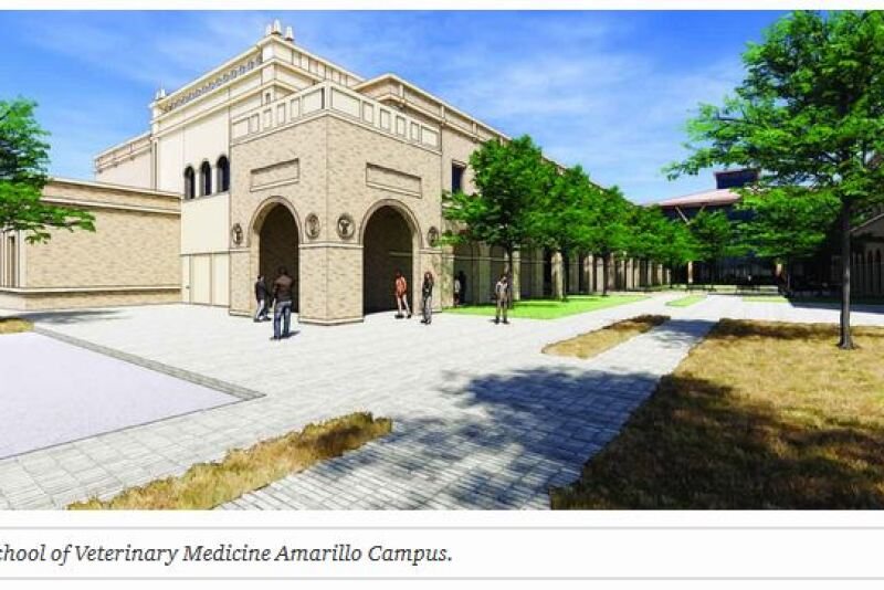 The new school of veterinary medicine is taking shape. 