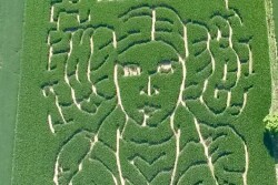 Carrie Fisher Maze