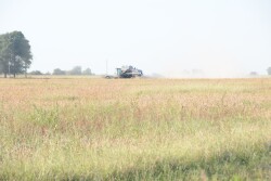Soybean yields in Minnesota are up nearly 3% due to a changing climate, estimates the University of Minnesota.
