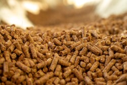 The bill would offer a pathway for manufacturers to seek FDA approval of additives tied to improving the efficiency of meat and dairy production.